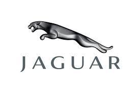 Jaguar Maroc
